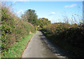 View north along Leafy Oak Lane in NR14 7LH