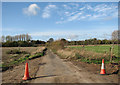 Access road to West Green Farm in NR14 7LH