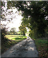 View south along Leavy Oak Road in NR14 7LH