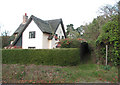 Footpath past thatched cottage in The Street in NR15 1YH