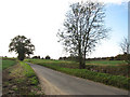 View south-west along Roger's Lane in Shotesham