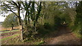 Byway near Durleighmarsh Farm in GU31 5AX