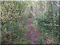 Bridleway north towards Ifold in RH14 0SY