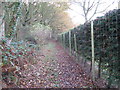 Fence and hedging alongside Fox Cottage in RH14 0SY