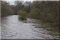 River Aire in Spate from Buck Lane Footbridge in BD17 7LE