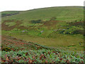 Across Cwm Culent, Powys in LD5 4TW