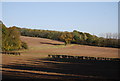 Ploughed fields & woodland near the Greensand way in ME18 5HE