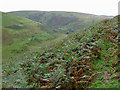Across Cwm Culant to Nant-y-Ddwfn, Powys in LD5 4TW