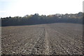 The greensand Way crosses a ploughed field near Moat Wood in ME18 5HE
