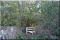 Stile, Greensand way enters Moat Wood in TN12 5NE