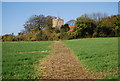 Greensand Way heading to St Michael's Church in TN12 5NG