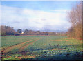 Crop field at Lower Westmancote in GL20 7ER