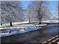 Sutton Park in April Snow in B74 2PL