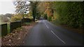 Looking north on Hollywater Road in GU35 9RG