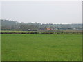 View towards Beoley Equestrian Centre in B48 7ER
