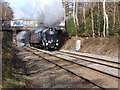 Sir Nigel Gresley Steam Special in B74 3DU