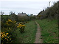 Footpath to Bron Fadog in CH7 5AB
