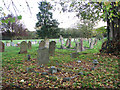 St Mary's church - churchyard in IP22 2ED