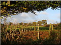 Field and autumn colours, near Itton in NP16 6BX