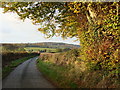 Lane looking towards Rhyd-y-fedw, near Itton in NP16 6BX