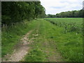 Footpath to Bradfield in RG7 6JX