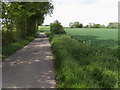 Bridleway towards Colthrop Manor in RG18 4NB