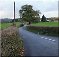 Henllys Lane, Bettws, Newport in Bettws Community