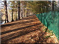 Footpath beside Blackroot Pool Sutton Park in B74 2QY