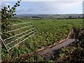 Gate and field, Venton Chapel Cross in PL7 5AR
