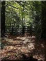Gate, Smuggler's Coppice in PL7 5DP