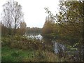 Top of a lake, Walton Colliery Nature Park in WF2 6LR