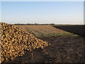 Sugar beet pile in PE15 8SE