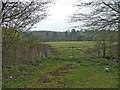 Gateway on Farmland, Hornbeam Lane, looking towards Hoppets Wood. in AL9 6JB