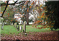St Andrew's church - churchyard in IP22 2HU