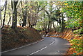 Bend in Powdermill Lane in TN33 0SP