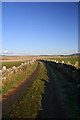 Dry stone Wall, Wester Meathie in DD8 1XJ