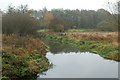 River Leam on a misty day, Newbold Comyn Park in CV31 1NT
