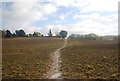 1066 Country Walk crosses a field towards Crowhurst in TN33 9DG