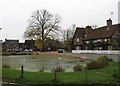 The Village Pond, Aldbury in HP23 5RR
