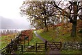 Footpath to Station Coppice in St. John's Castlerigg and Wythburn