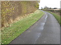 The road to Bushey Close cottages in Conington