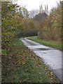Quiet road towards Conington in Conington