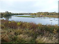 Forge Mill Lake, Sandwell Valley Country Park in B43 5AG