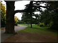 Path through Gunnersbury Park in W5 3JJ