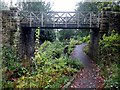 Bridge over The Dene, Saltwell Park in NE8 4TR