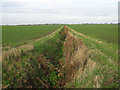Footpath along a ditch in CB7 5UP