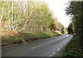 View east along Norwich Road approaching Chedgrave in Chedgrave