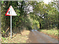 View north-east along Big Back Lane in Chedgrave