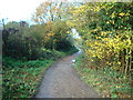 Footpath, Hayes, Kent in BR2 8HA