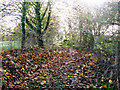 Public footpath southwards to Pever's Farm in Kirstead